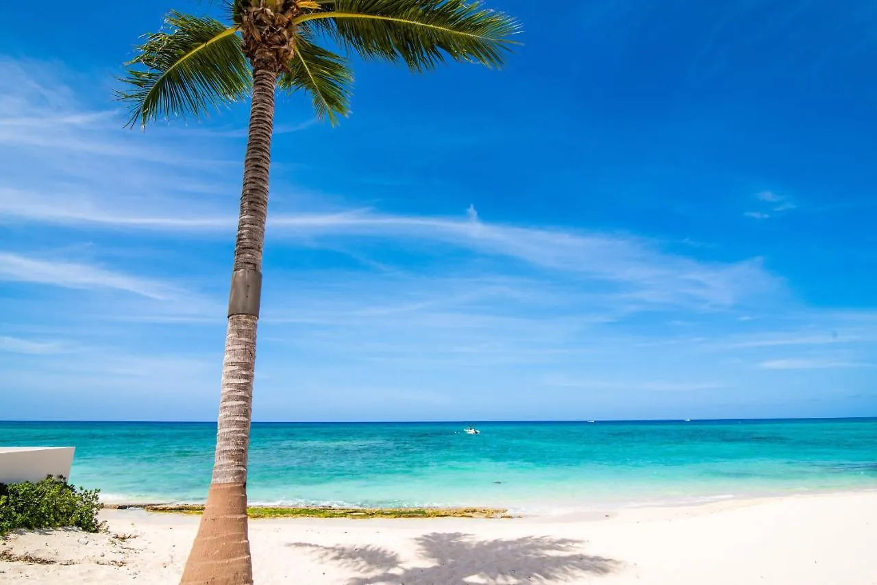 Beach Living At Discovery Point Club West Bay